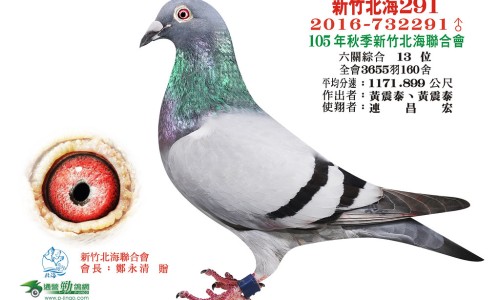 含D的食物多网 :分享含d高的食物是什么-含d高的食物是什么知识