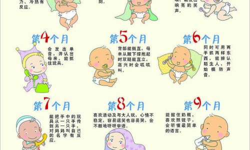 含d食物有哪些食物-含D的食物多网 :分享含d高的食物是什么-含d高的食物是什么知识